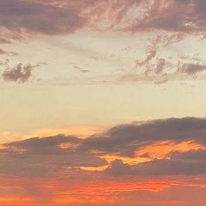 Meet your Posher, Brooklyn